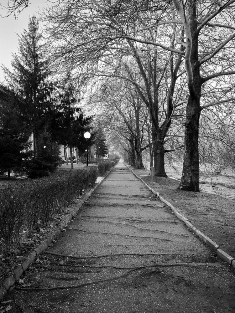 Photograph by Колев Христо
