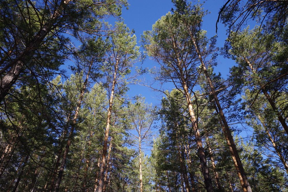 Photograph by Андрей Корытов