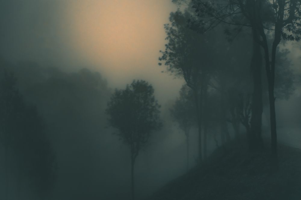 Photograph by M. Maleesha Sathsara Perera