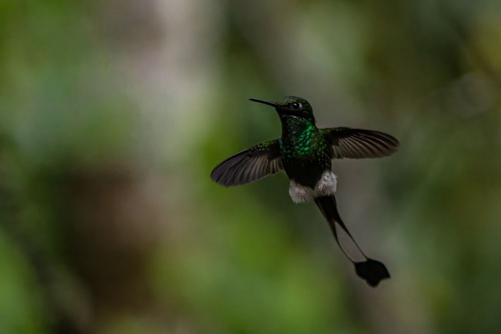 Photograph by Julia A Caesar