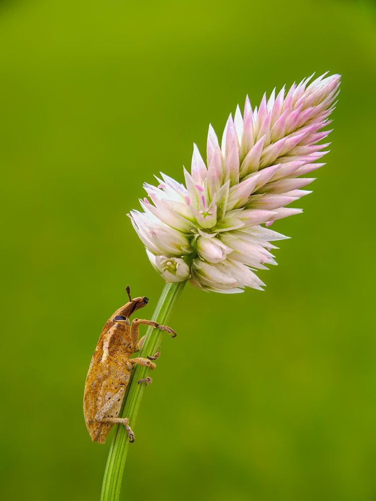 Photograph by ANTU MONDAL