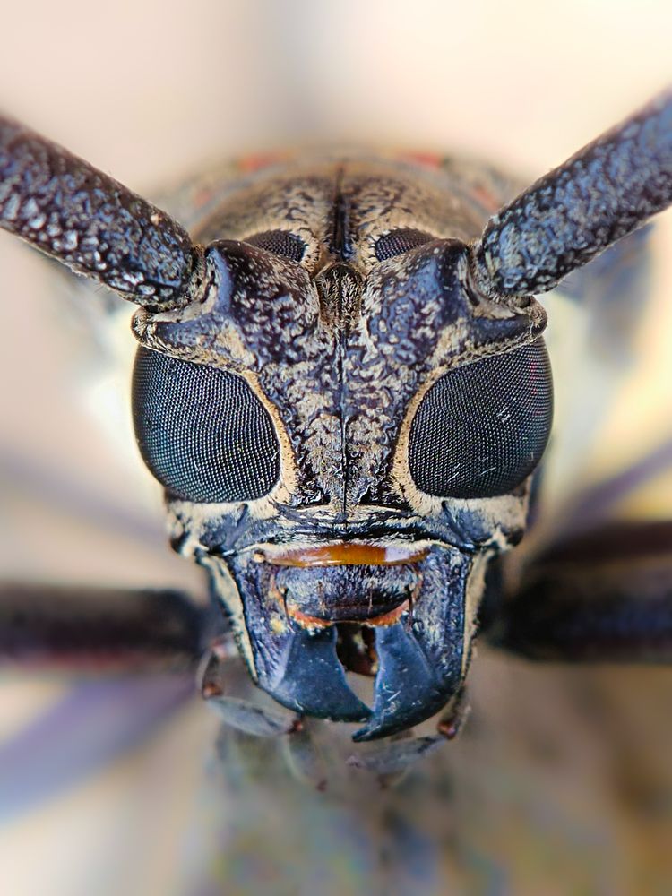 Photograph by ANTU MONDAL