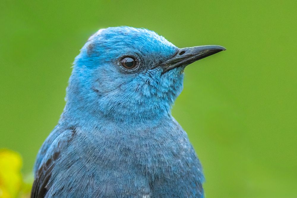 Photograph by Власов Егор