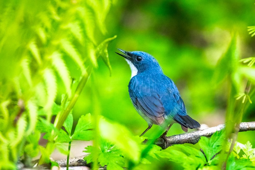 Фотография автора Власов Егор