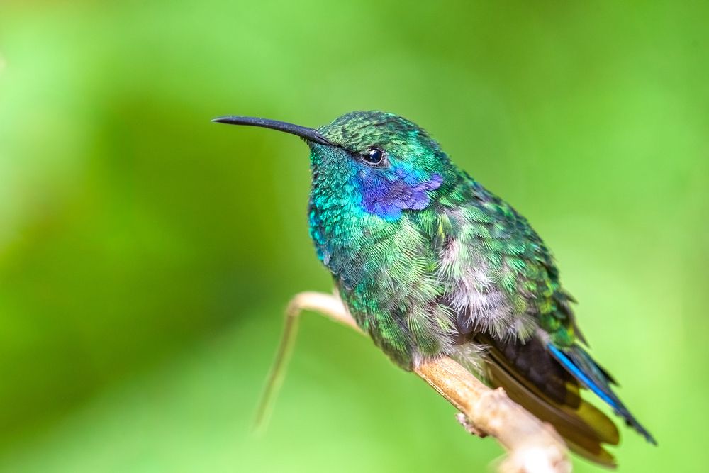 Photograph by Власов Егор