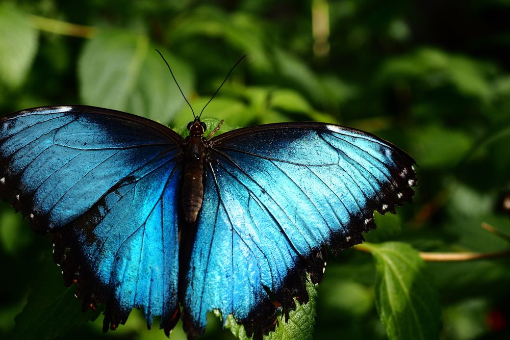 Фотография автора Сергей Варламов
