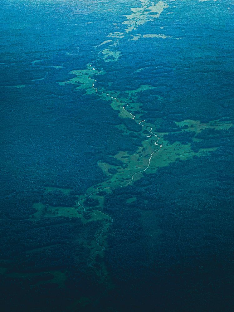 Фотография автора Бороздина Мария