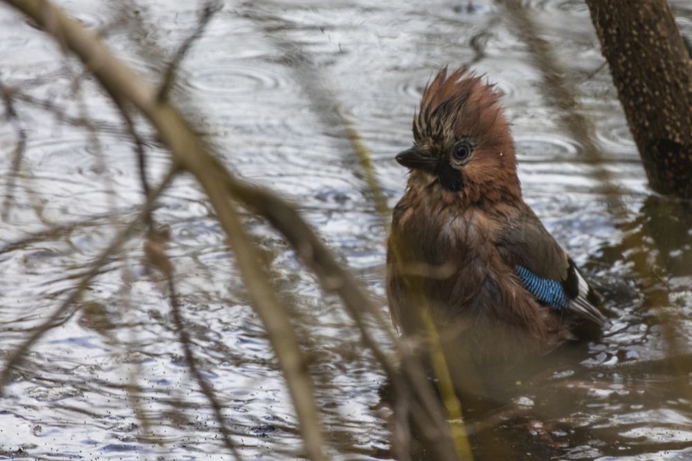 Photograph by Тимофей Овчинников