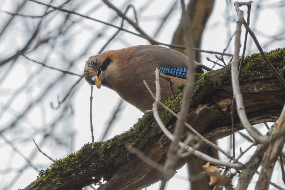 Photograph by Тимофей Овчинников