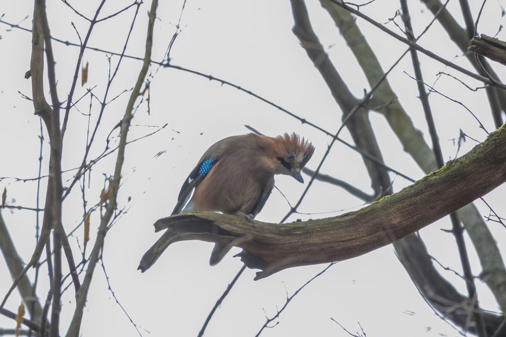 Photograph by Тимофей Овчинников