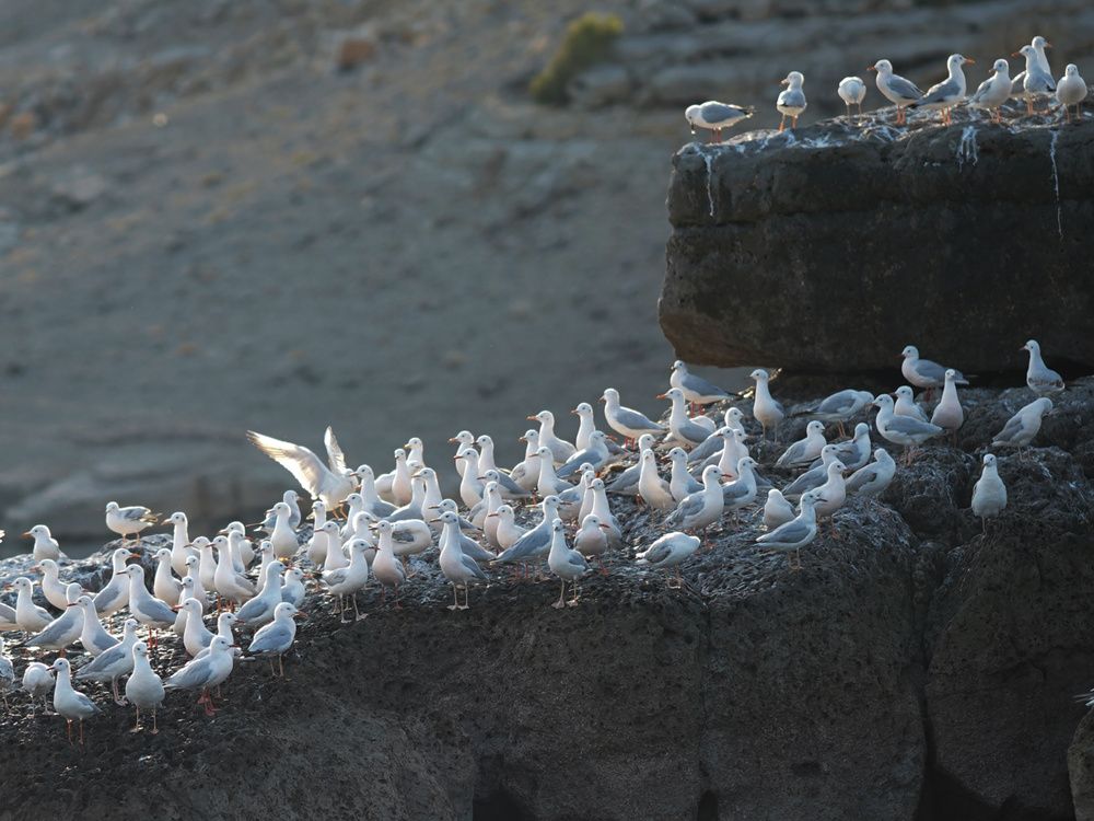 Photograph by Yuliya Onischuk