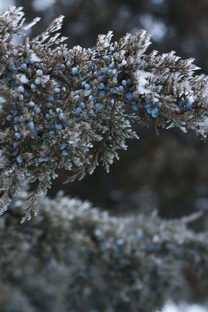 Photograph by Александра Воронина