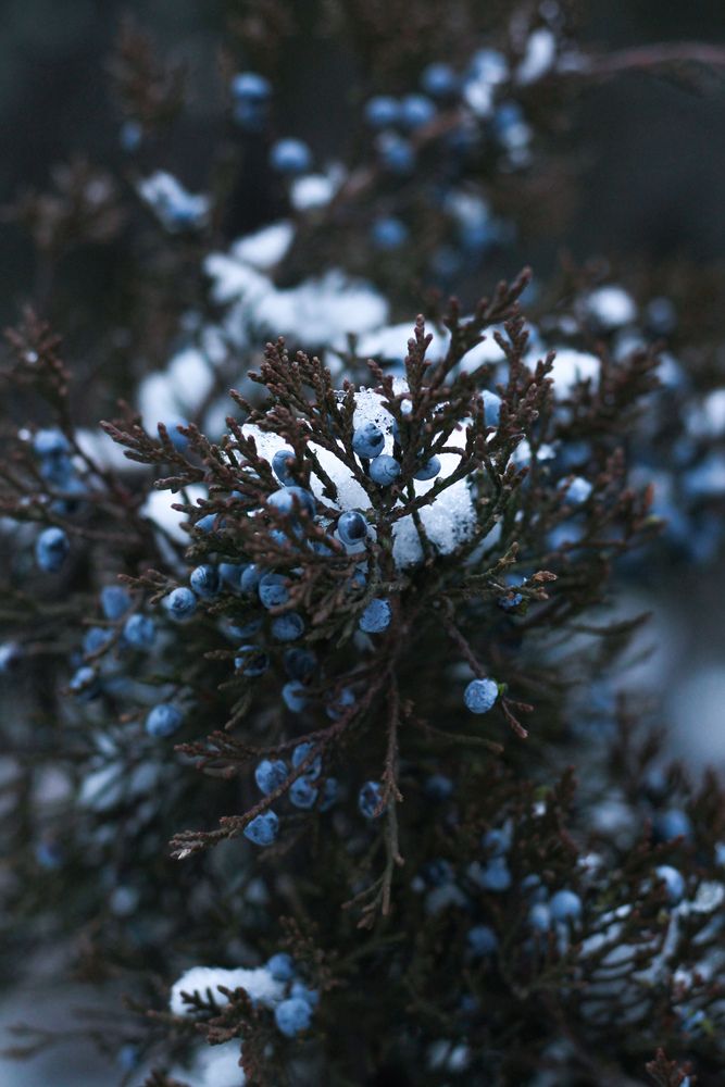 Photograph by Александра Воронина