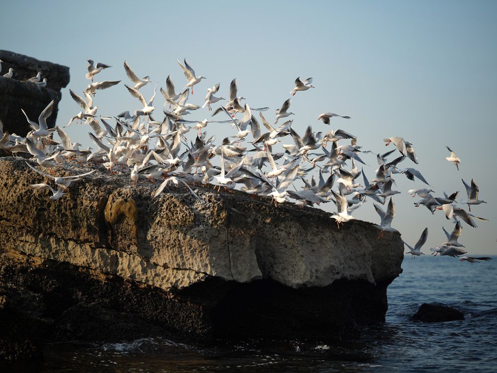 Photograph by Yuliya Onischuk