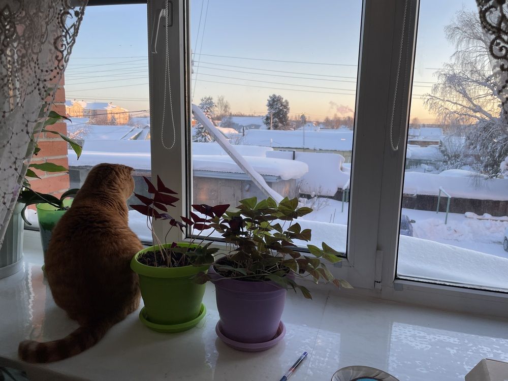 Photograph by Наталья Филатова