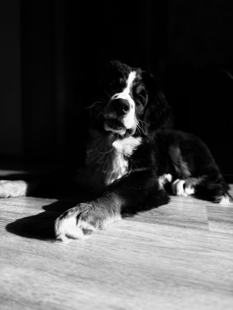 Photograph by Oli Lukashova