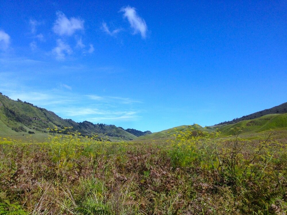 enjoy the morning at Bromo, West Java