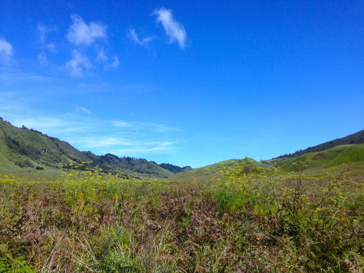enjoy the morning at Bromo, West Java
