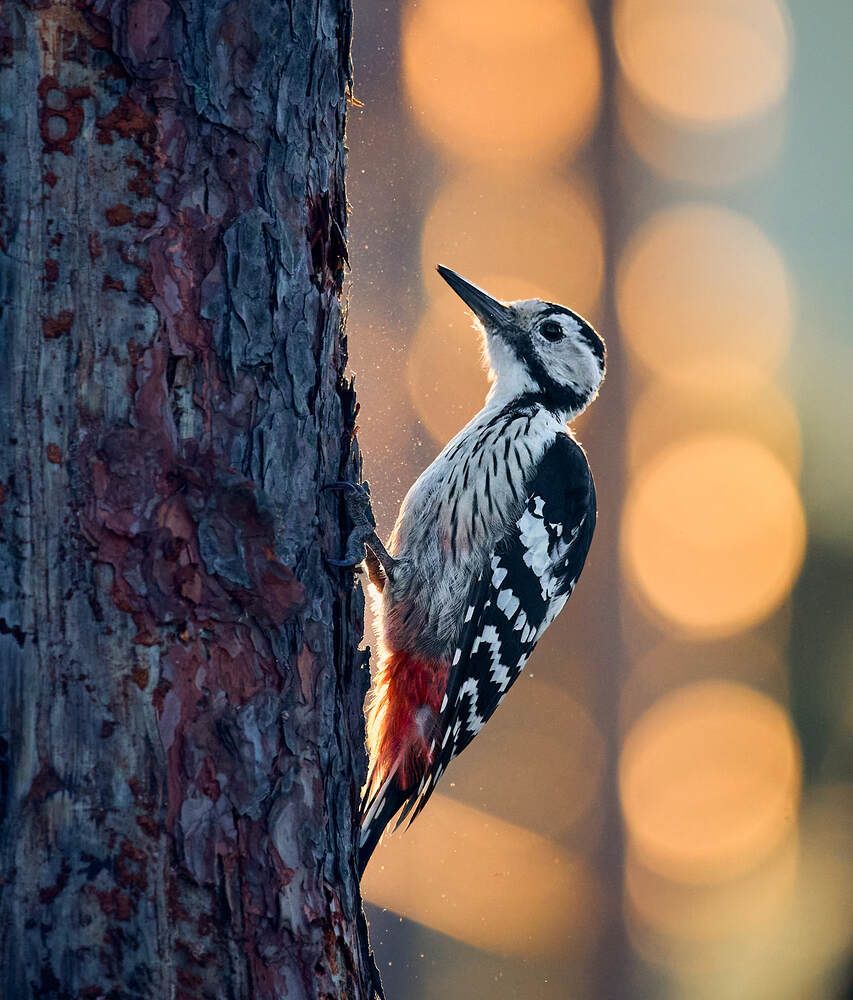 Photograph by Mikhail Khmelevskiy