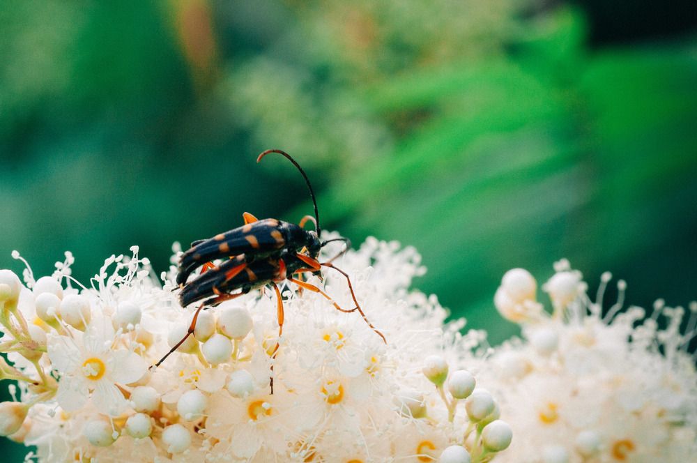 Photograph by Николай Захаров