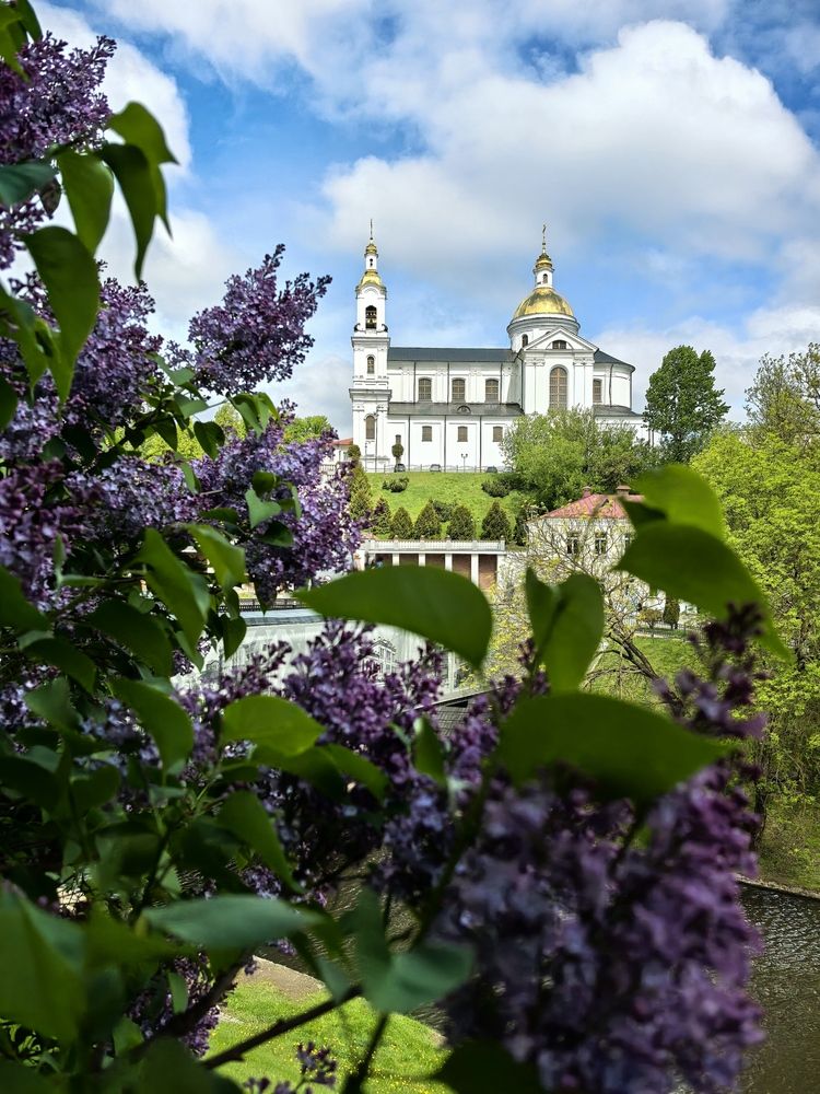 Фотография автора Александр Сипаров