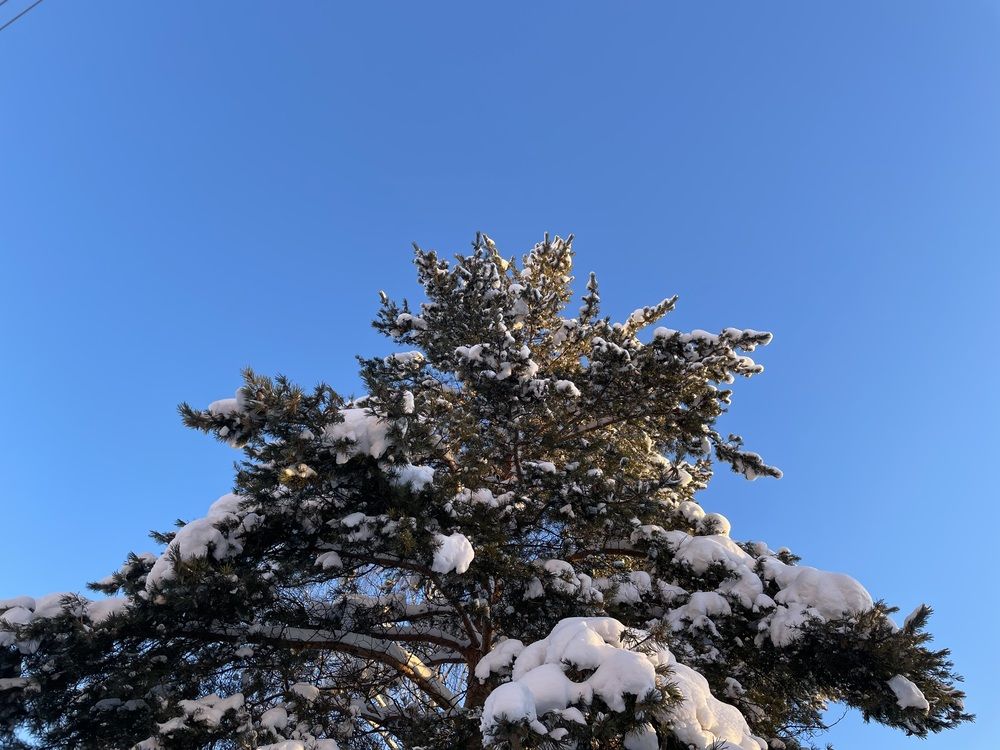 Photograph by Наталья Филатова