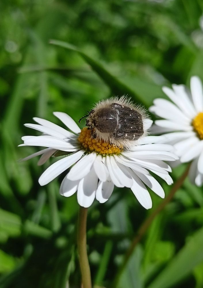Photograph by Дарья Кирина