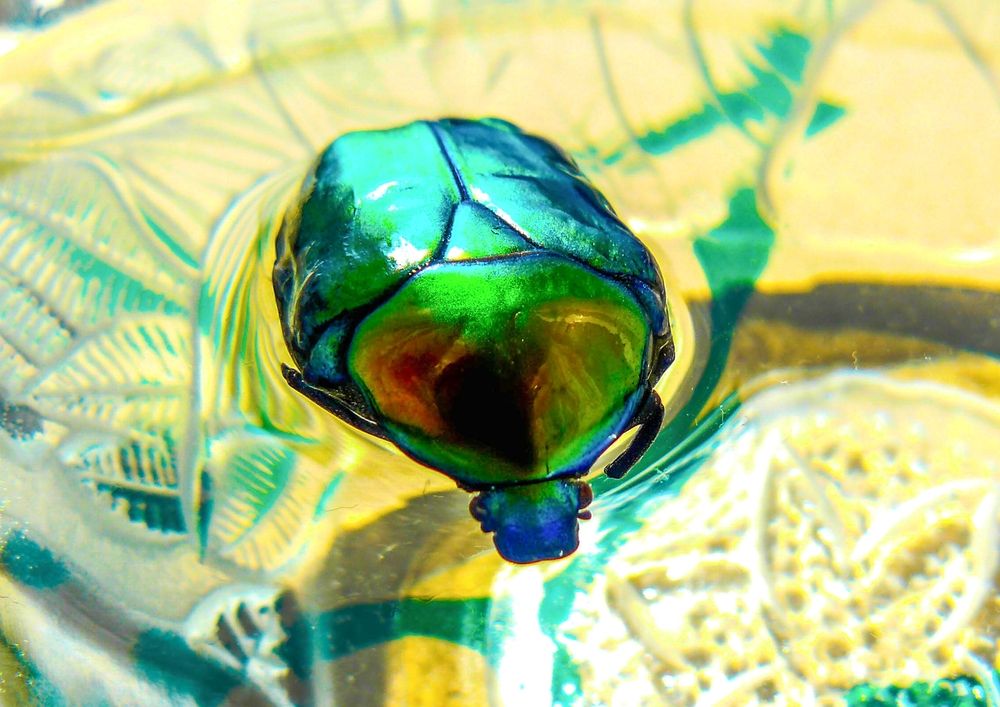 Photograph by Дарья Кирина