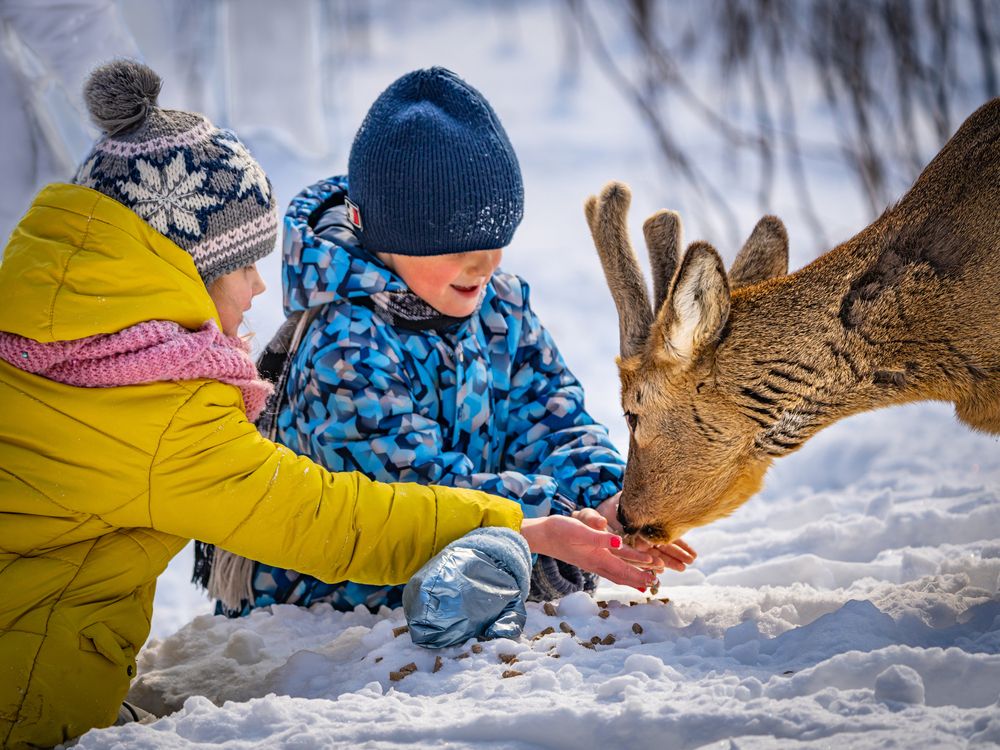 Photograph by Ольга Мусиенко