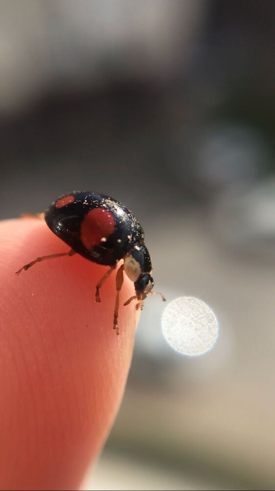 Photograph by Дарья Кирина