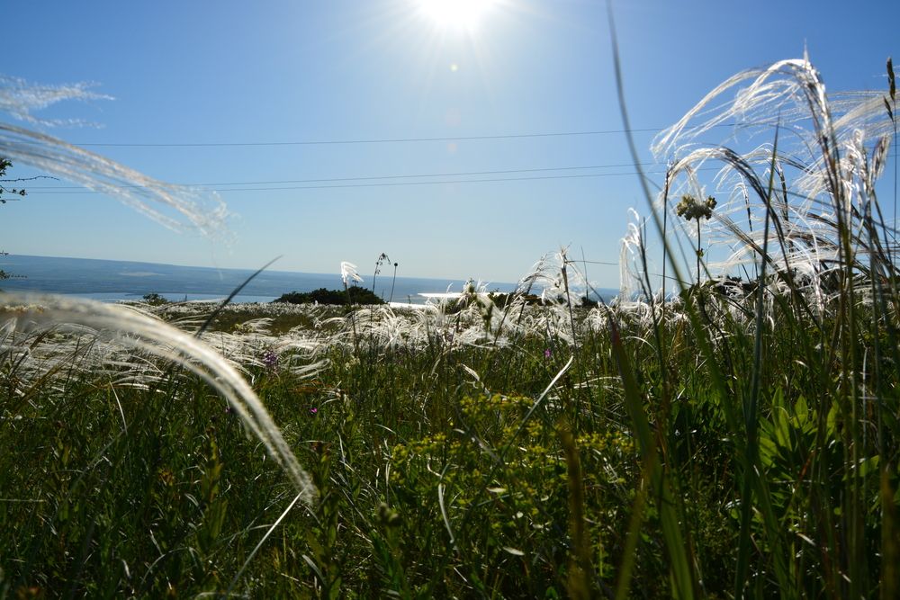 Фотография автора Дарья Кирина