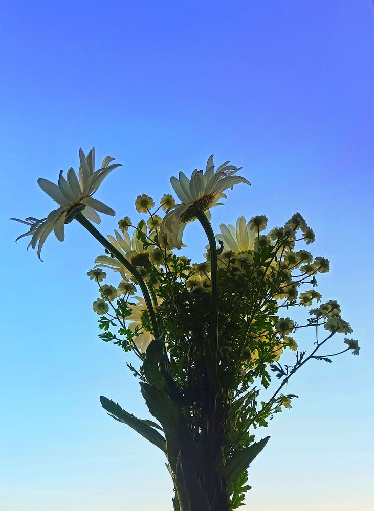 Фотография автора Дарья Кирина