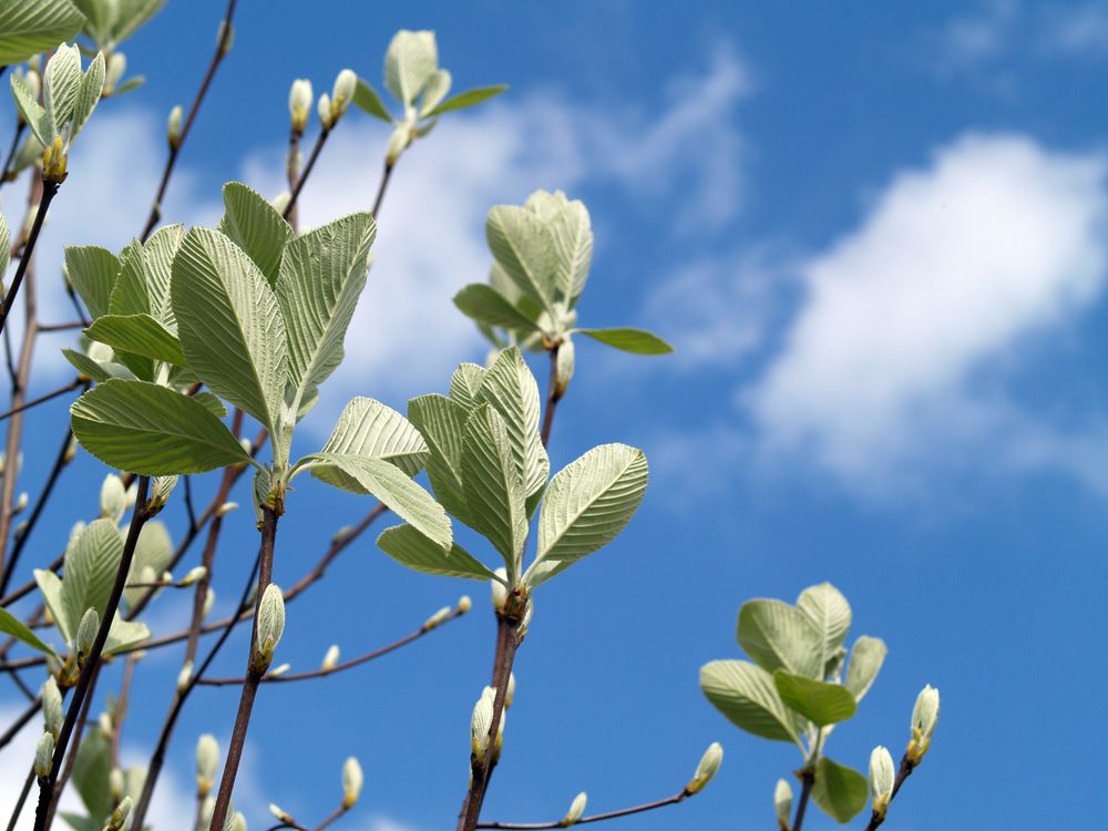 Photograph by Agita Leimane