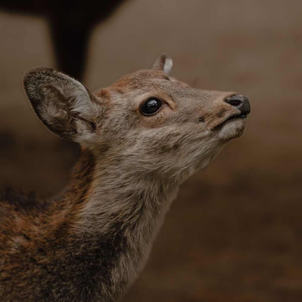 Photograph by Анастасия Зайчуковская