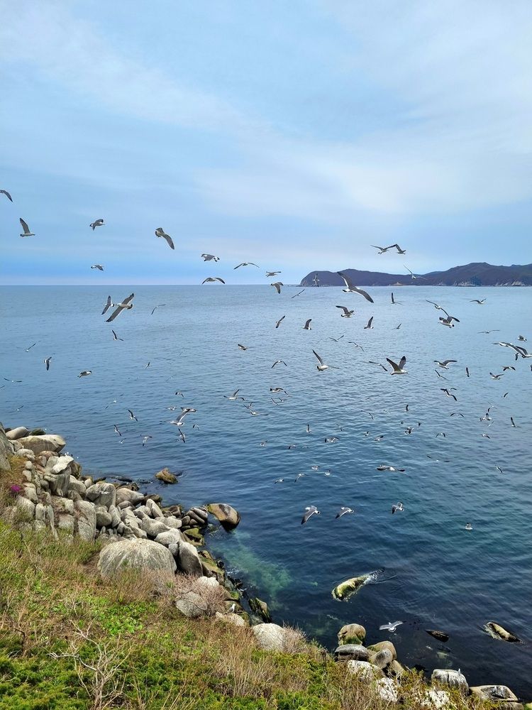 Photograph by Татьяна Дорожкина
