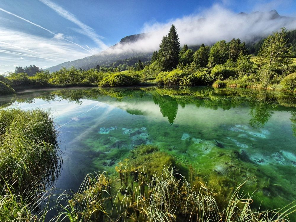 Photograph by Mojca Rebol