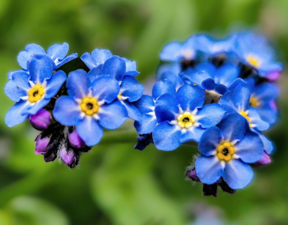 Photograph by Mojca Rebol