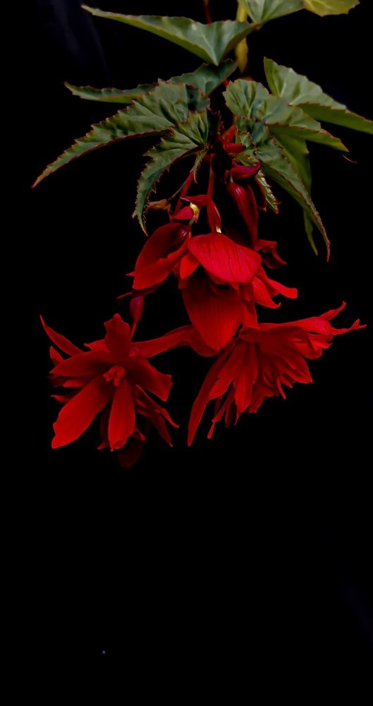 Photograph by Яна Йорданова