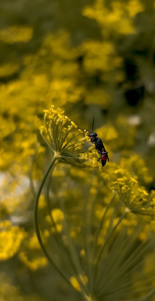 Photograph by Яна Йорданова