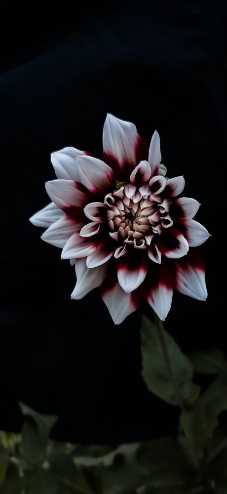 Photograph by Яна Йорданова