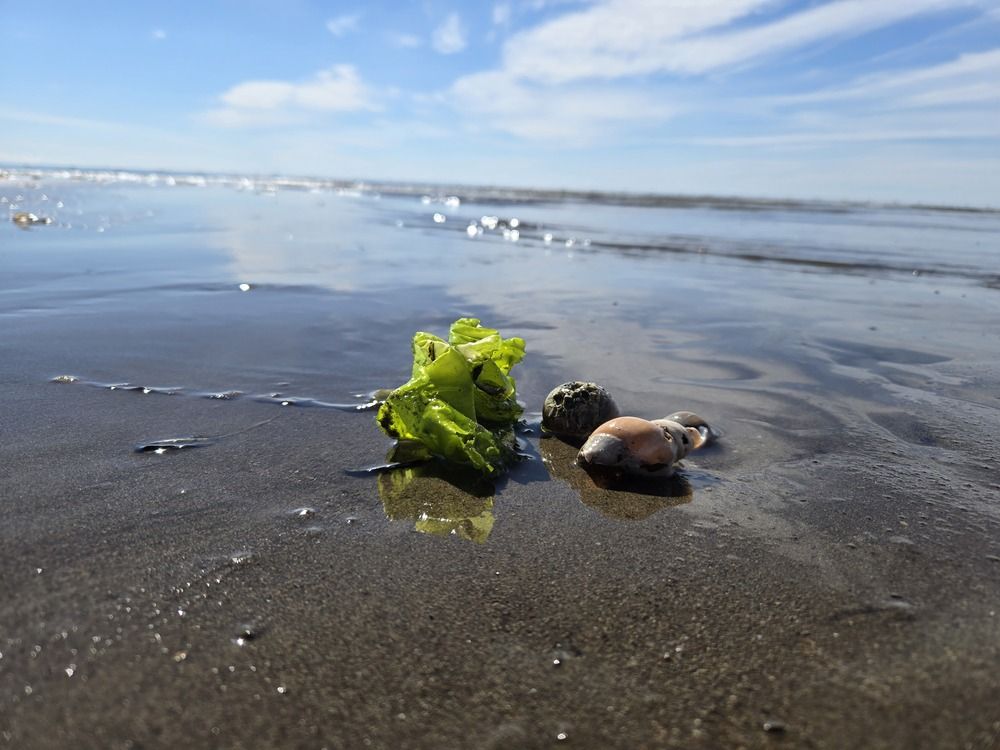 Photograph by Жанна Регор