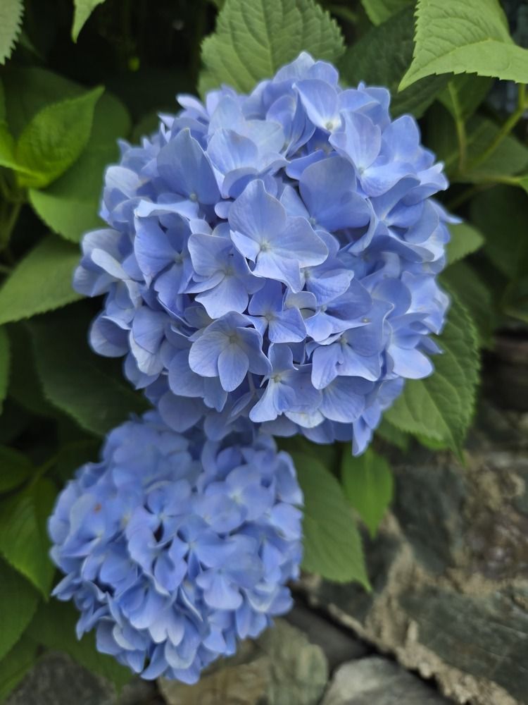 Photograph by Жанна Регор