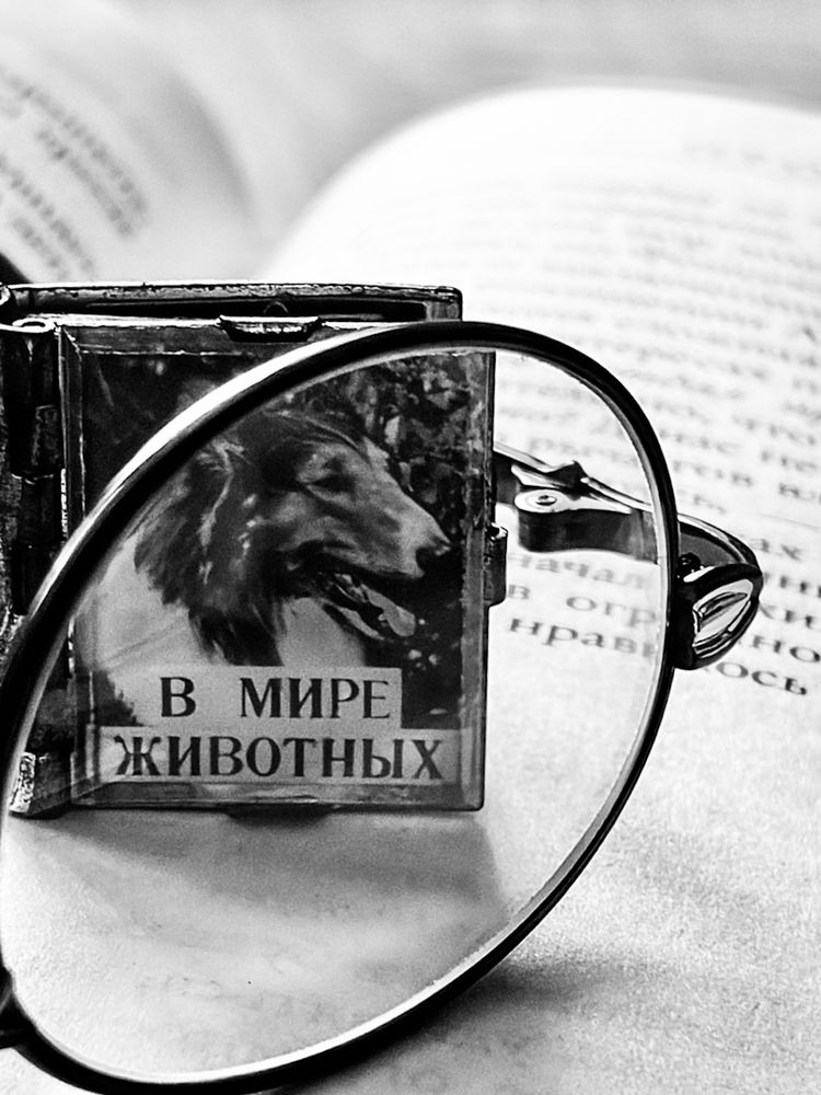 Photograph by Евгения Окунцева