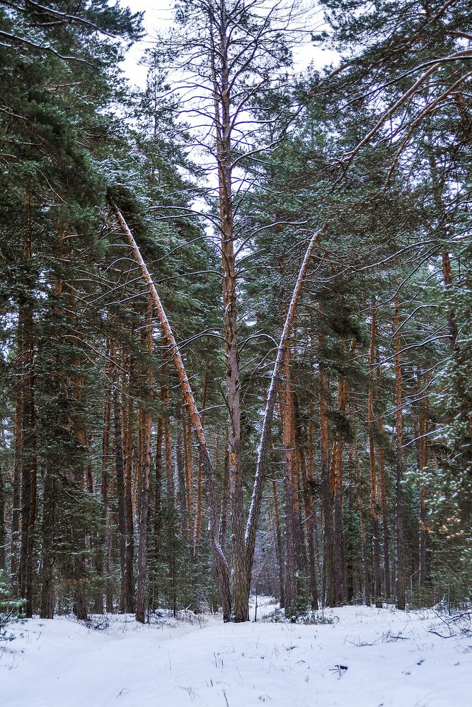 Photograph by Cергей Абакумов