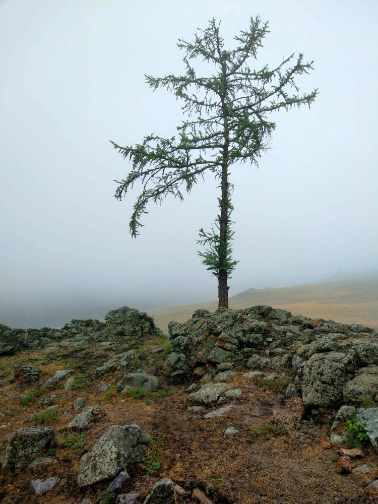 Photograph by ТАТЬЯНА ПАНОВА