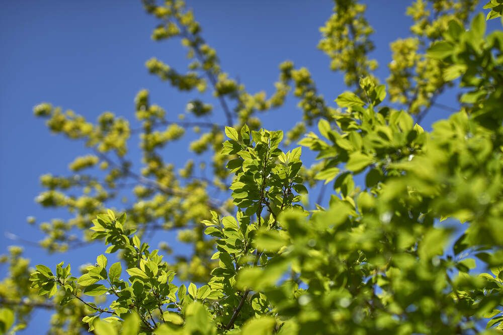 Фотография автора Карпович Максим