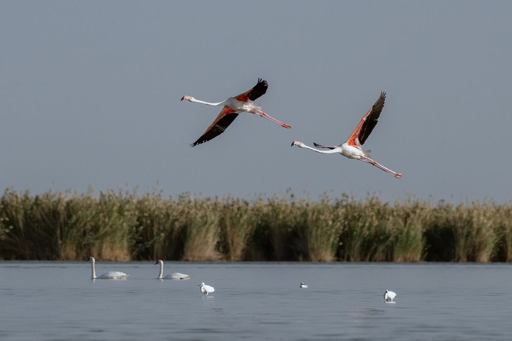 Photograph by Борис Недосеков