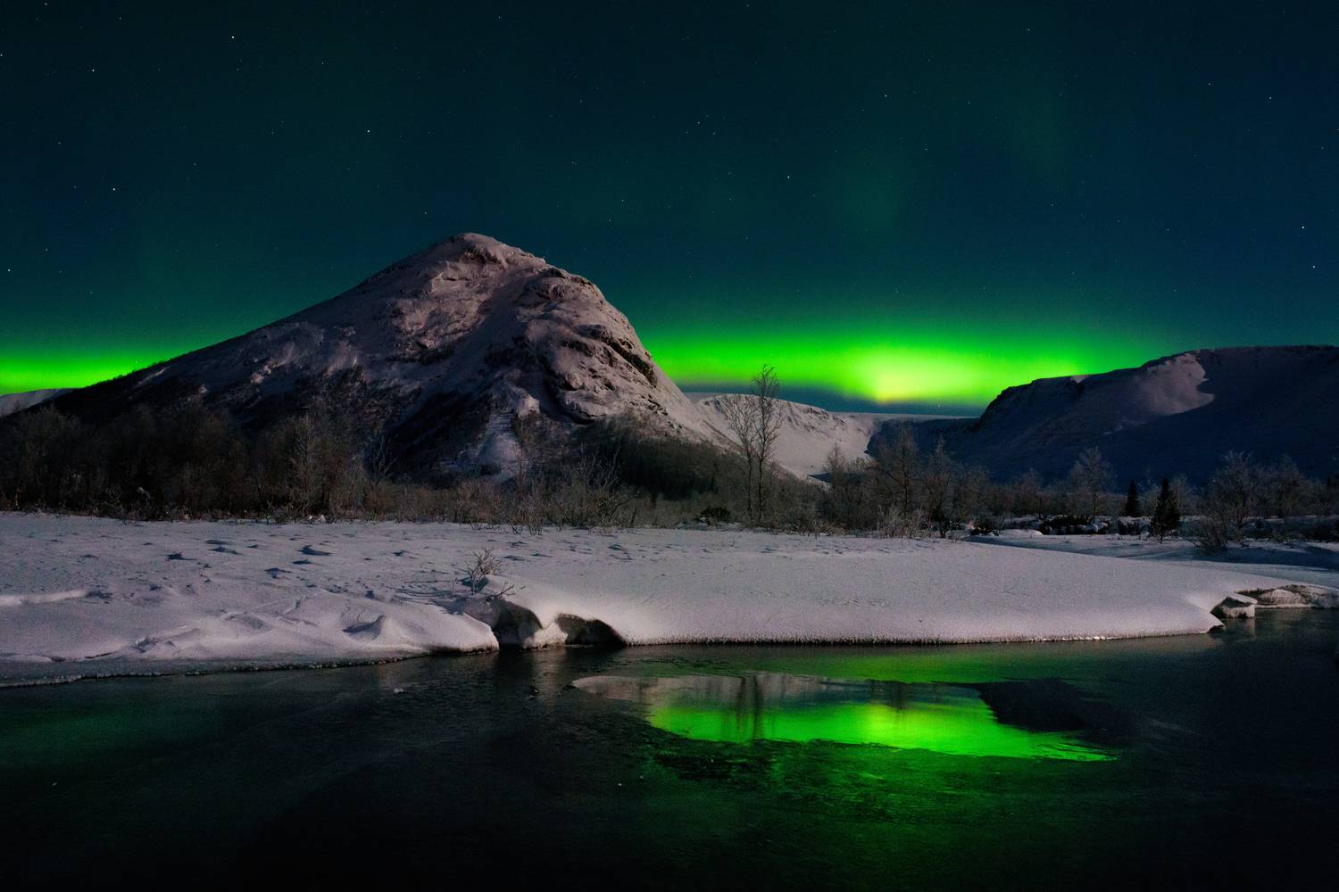 Фотография #13205391