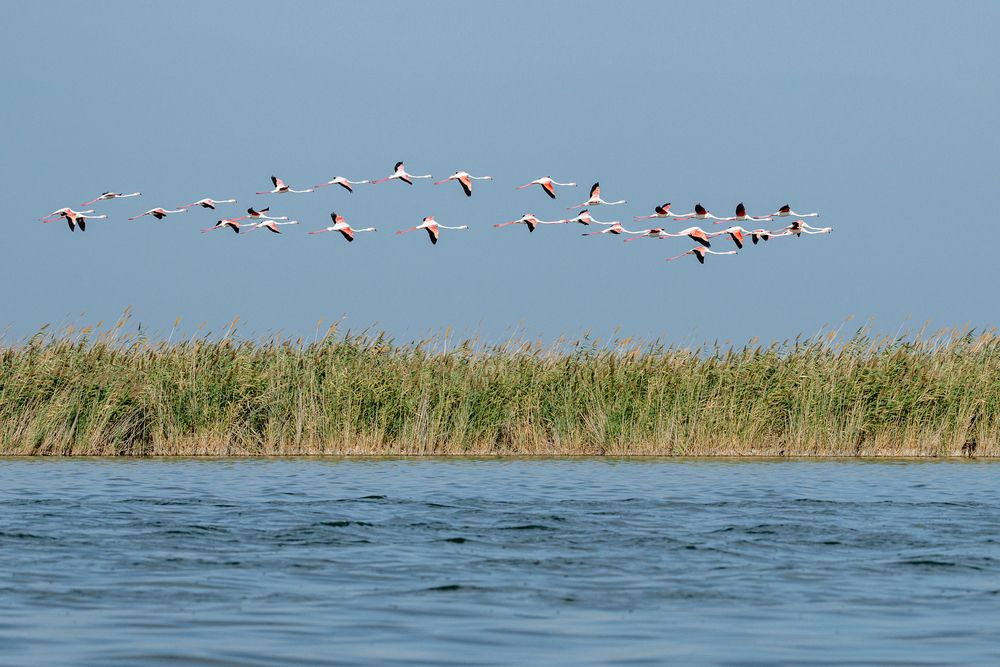 Photograph by Борис Недосеков