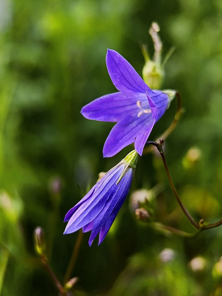 Аккорды лета